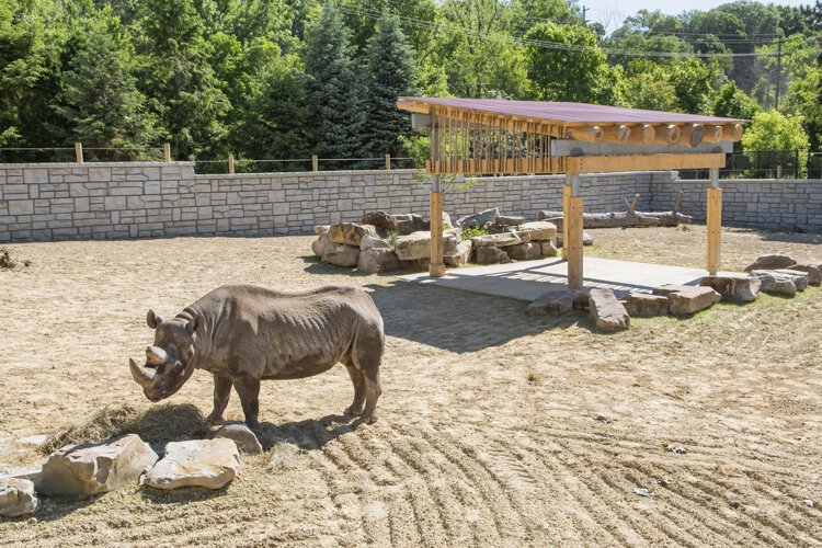 Cleveland Metroparks Zoo Rhino Reserve